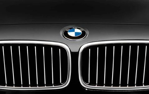 BMW Genuine Front Left Kidney Grille Luxury Line