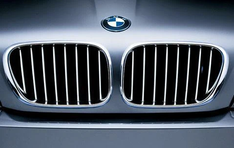 BMW Genuine Front Left Kidney Grille Panel Trim Titanium