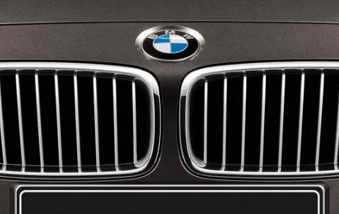 BMW Genuine Front Left Trim Kidney Grille Modern