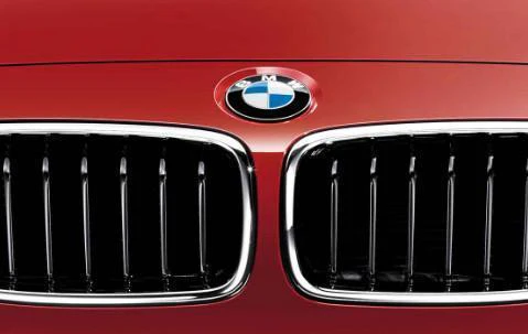 BMW Genuine Front Right Kidney Grille Sport