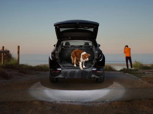 Hyundai Dog Guard - Tucson - Image 2