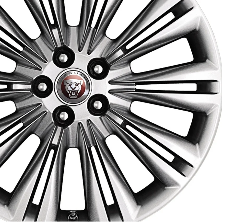 Jaguar Alloy Wheel 19" Caravela, Rear - Image 2