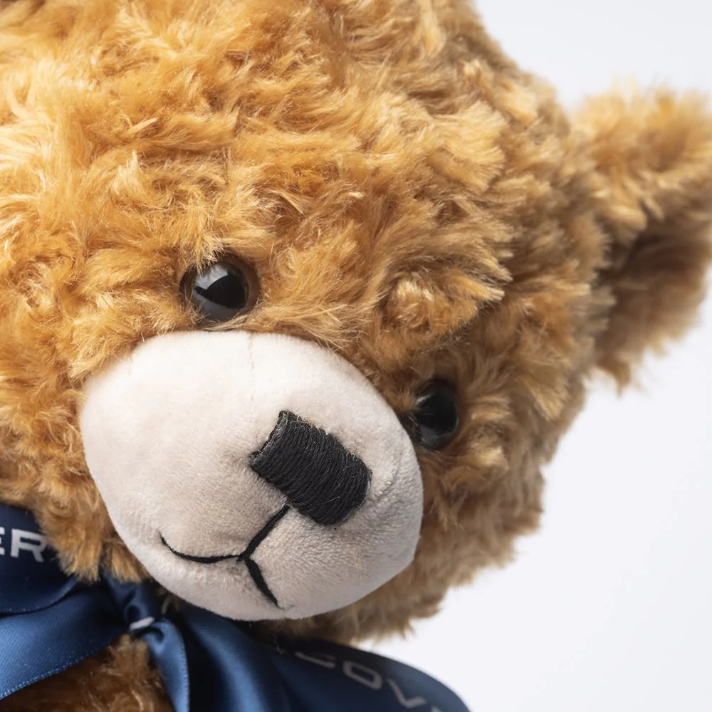 Land Rover Discovery Bear - Image 4