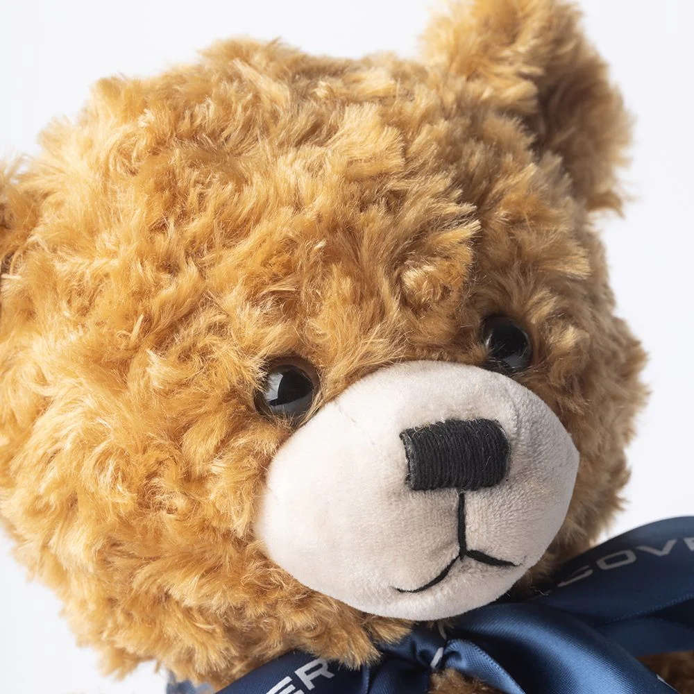 Land Rover Discovery Bear - Image 6