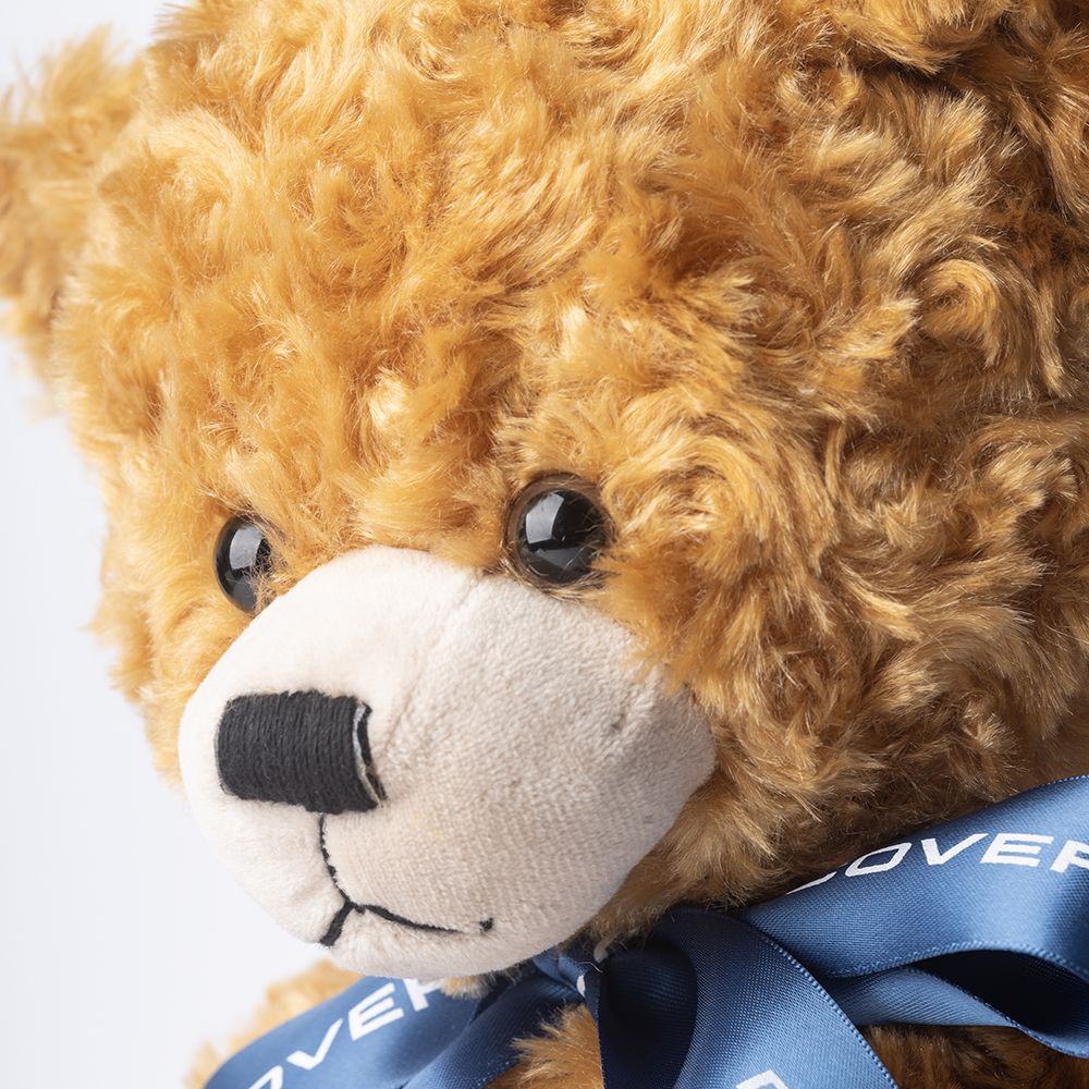 Land Rover Discovery Bear - Image 7