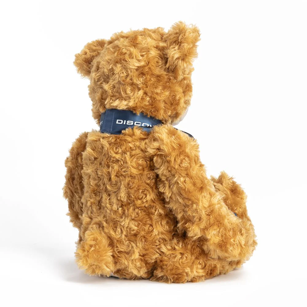Land Rover Discovery Bear - Image 8