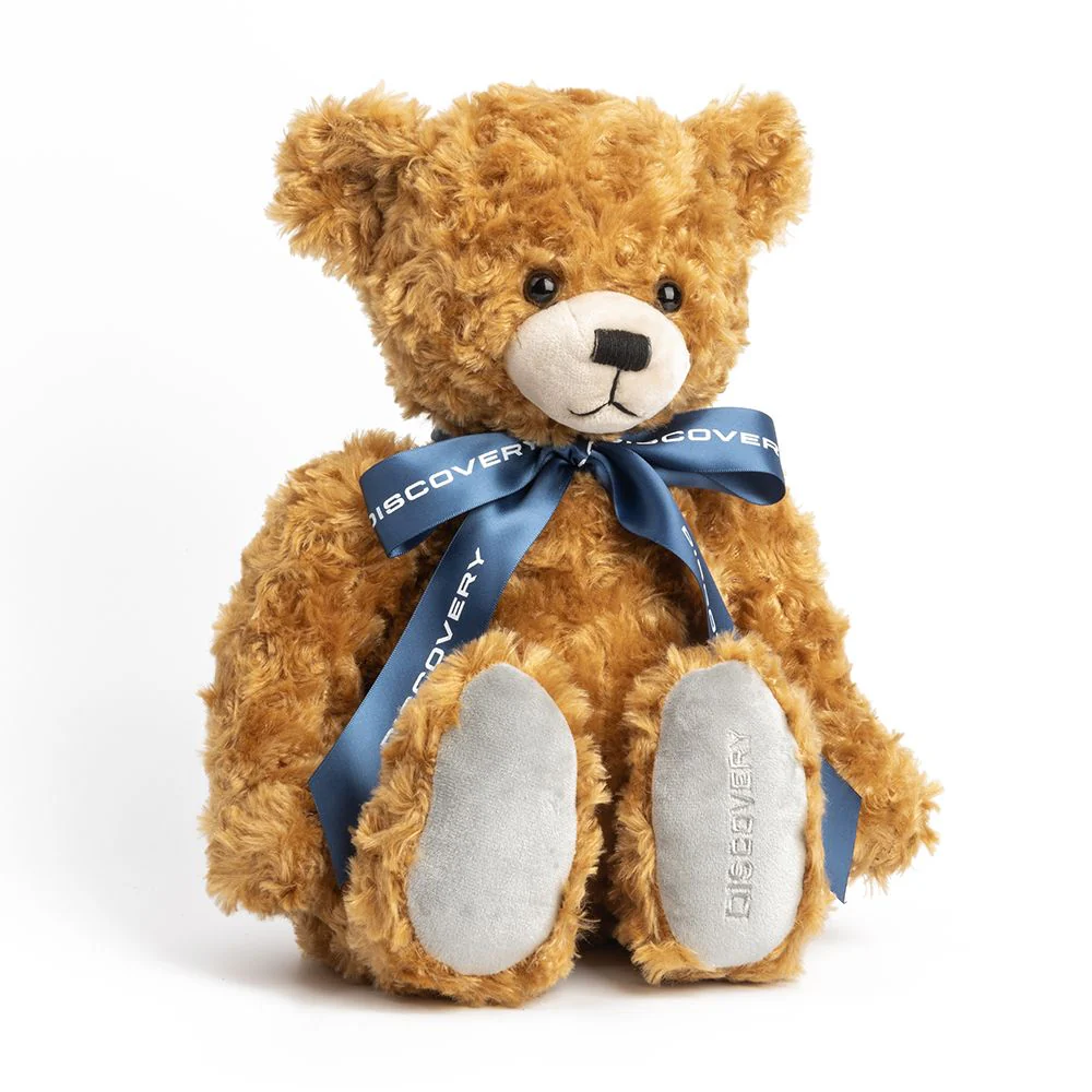 Land Rover Discovery Bear - Image 9