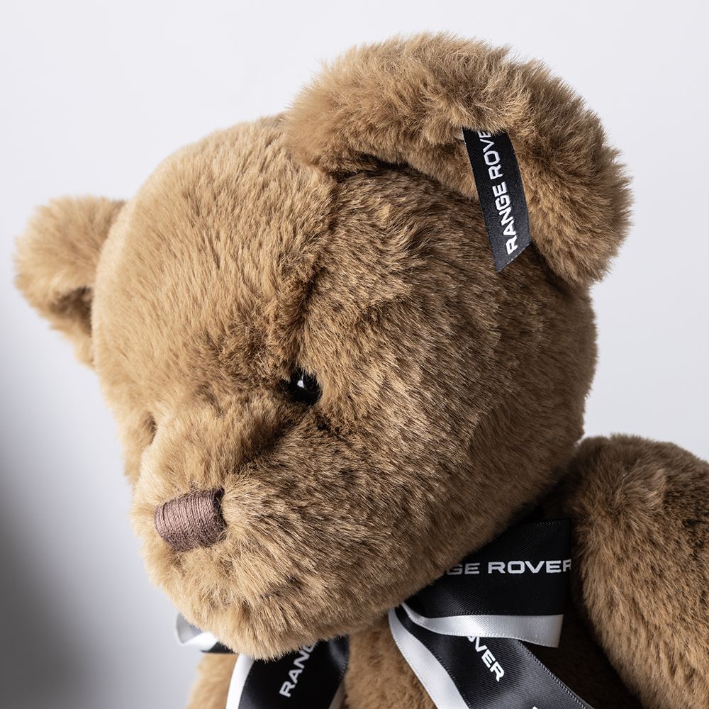 Land Rover Range Rover Bear - Image 10