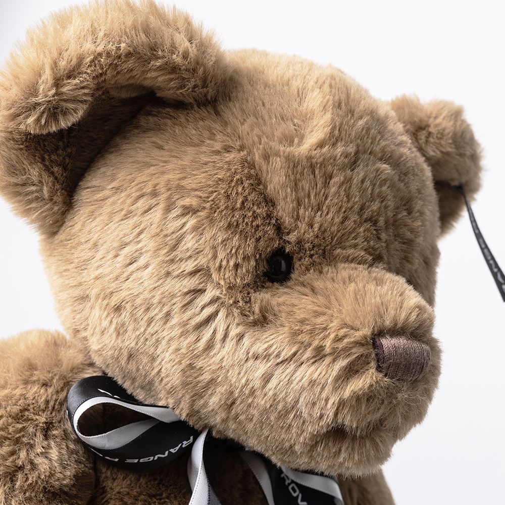 Land Rover Range Rover Bear - Image 3