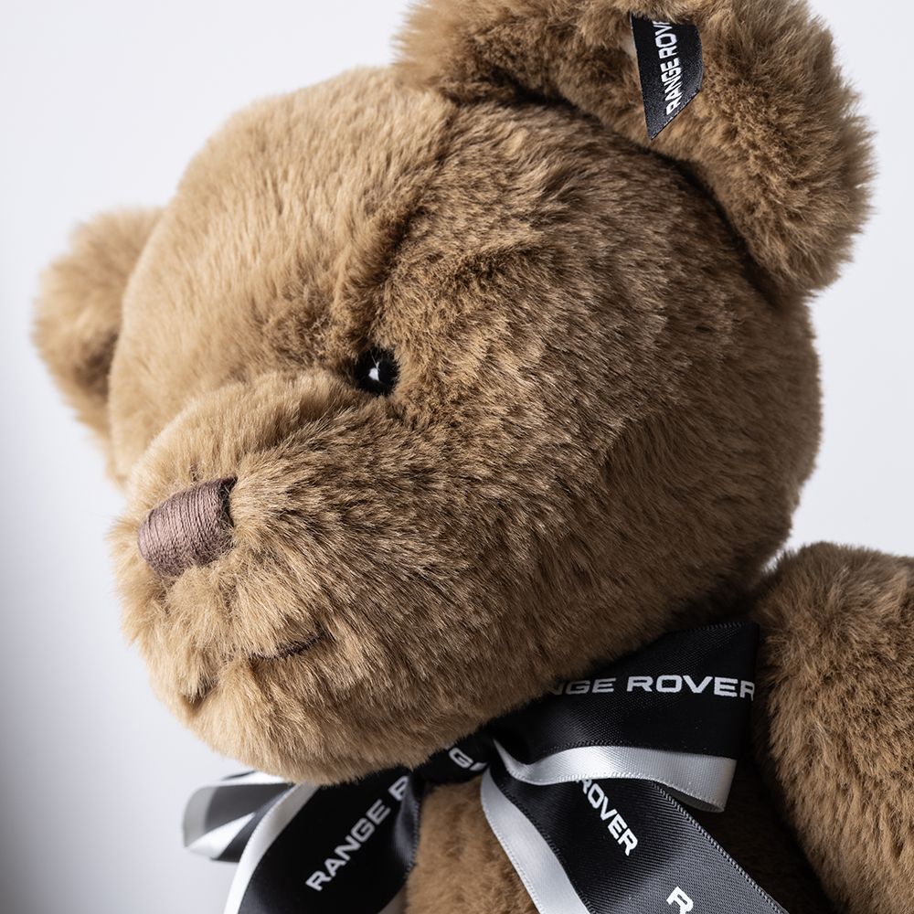 Land Rover Range Rover Bear - Image 5