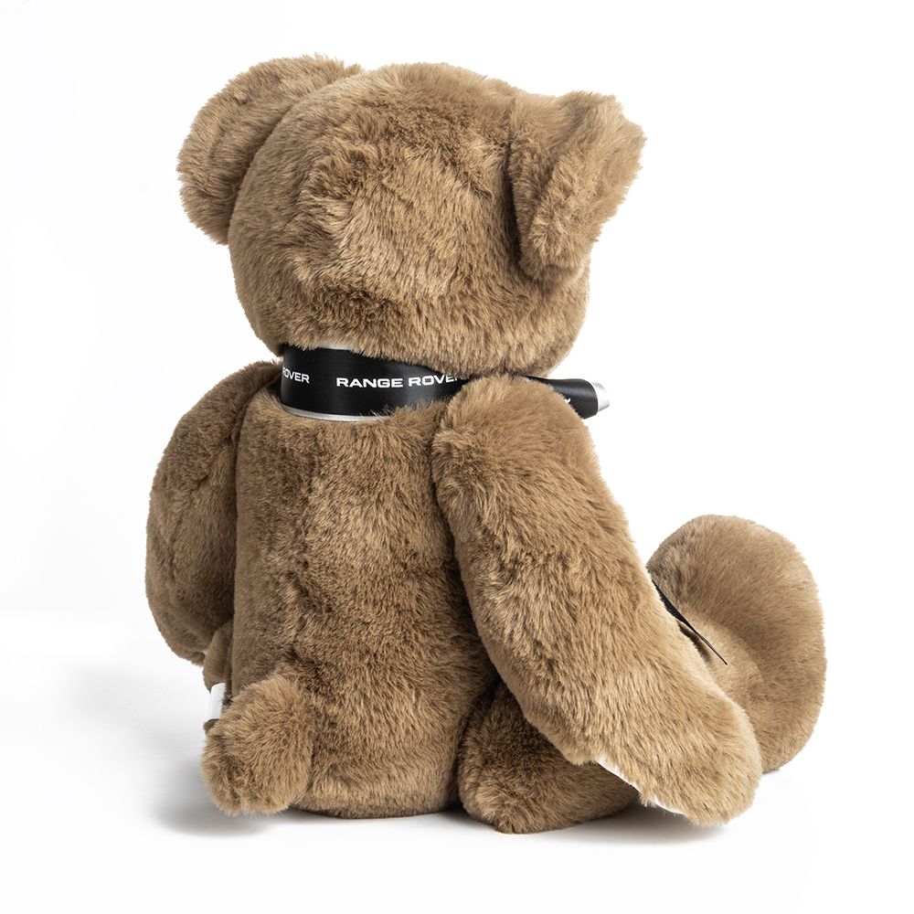 Land Rover Range Rover Bear - Image 8