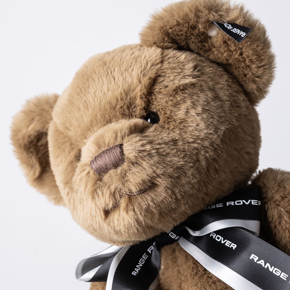 Land Rover Range Rover Bear - Image 9