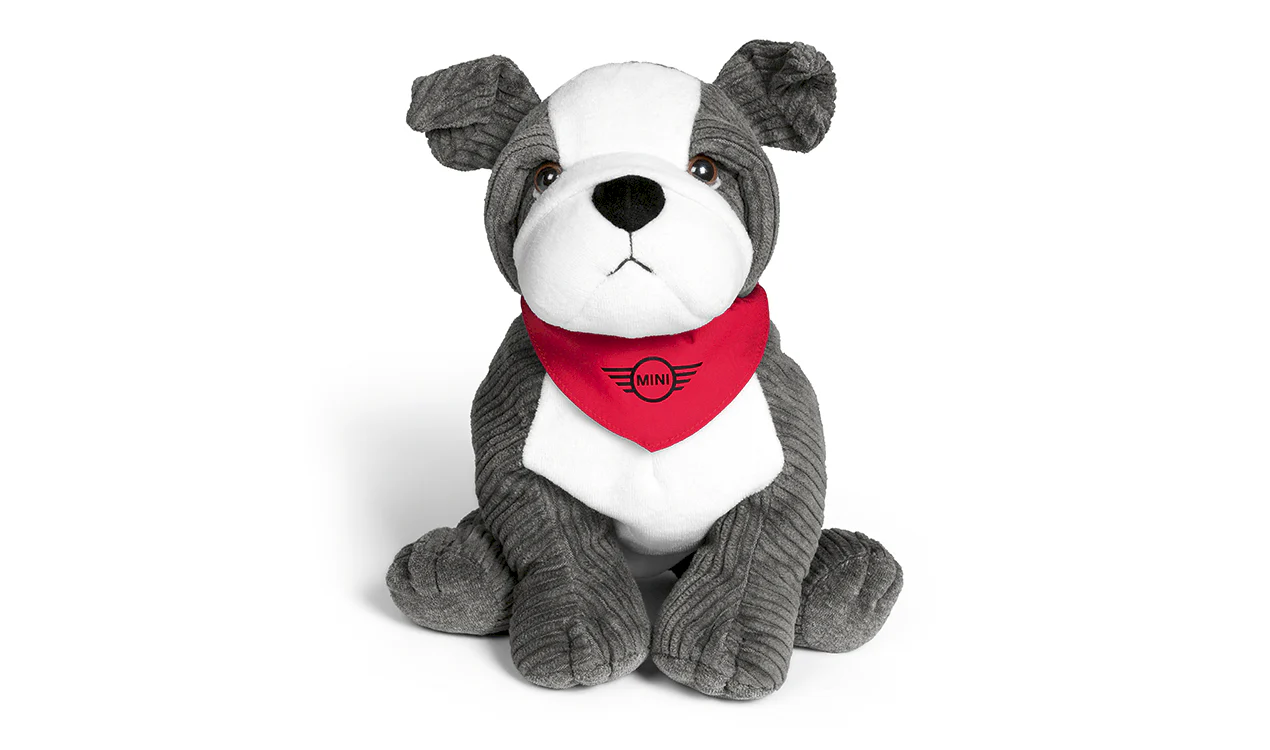 MINI Bulldog - Image 3
